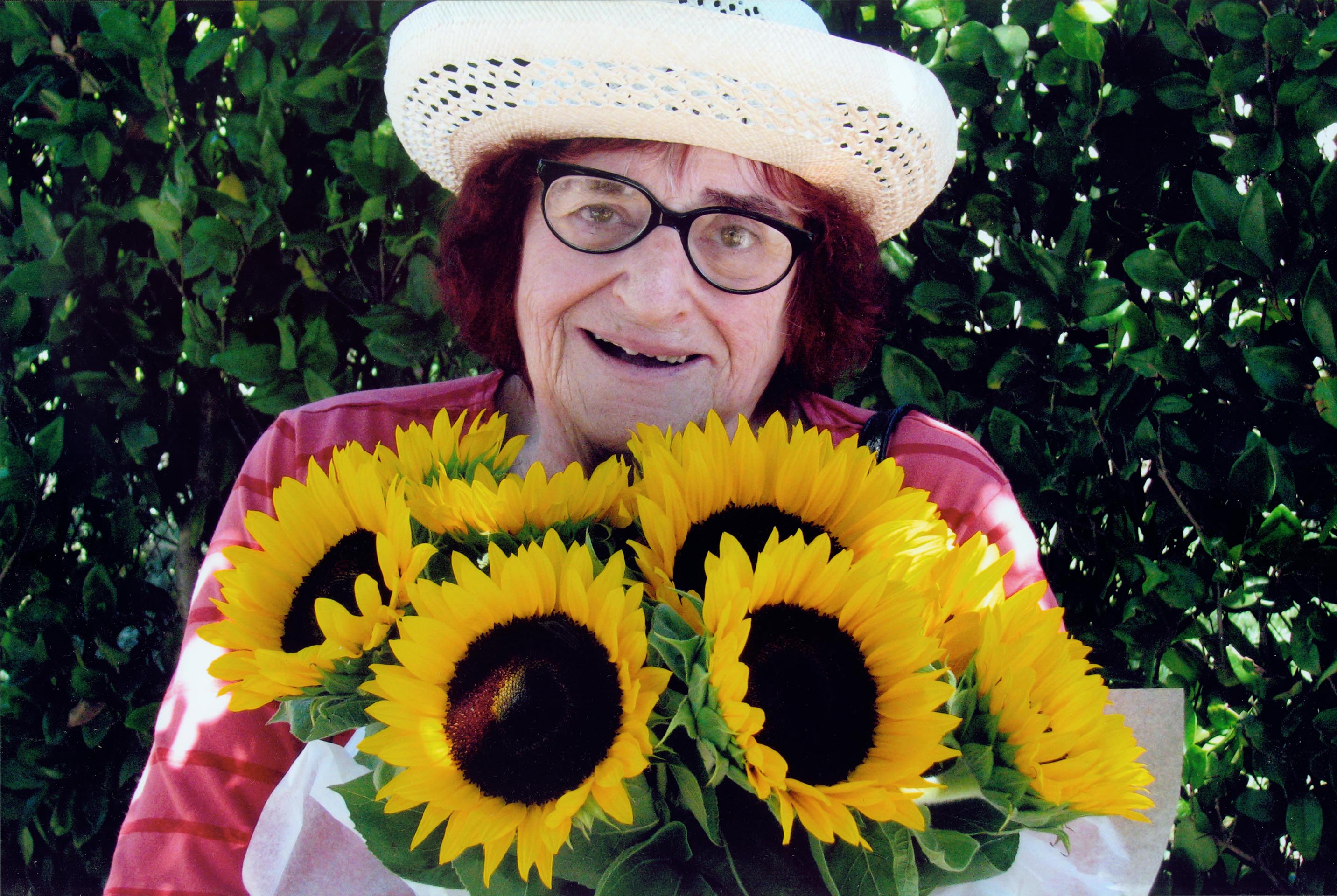 Milly and Sunflowers